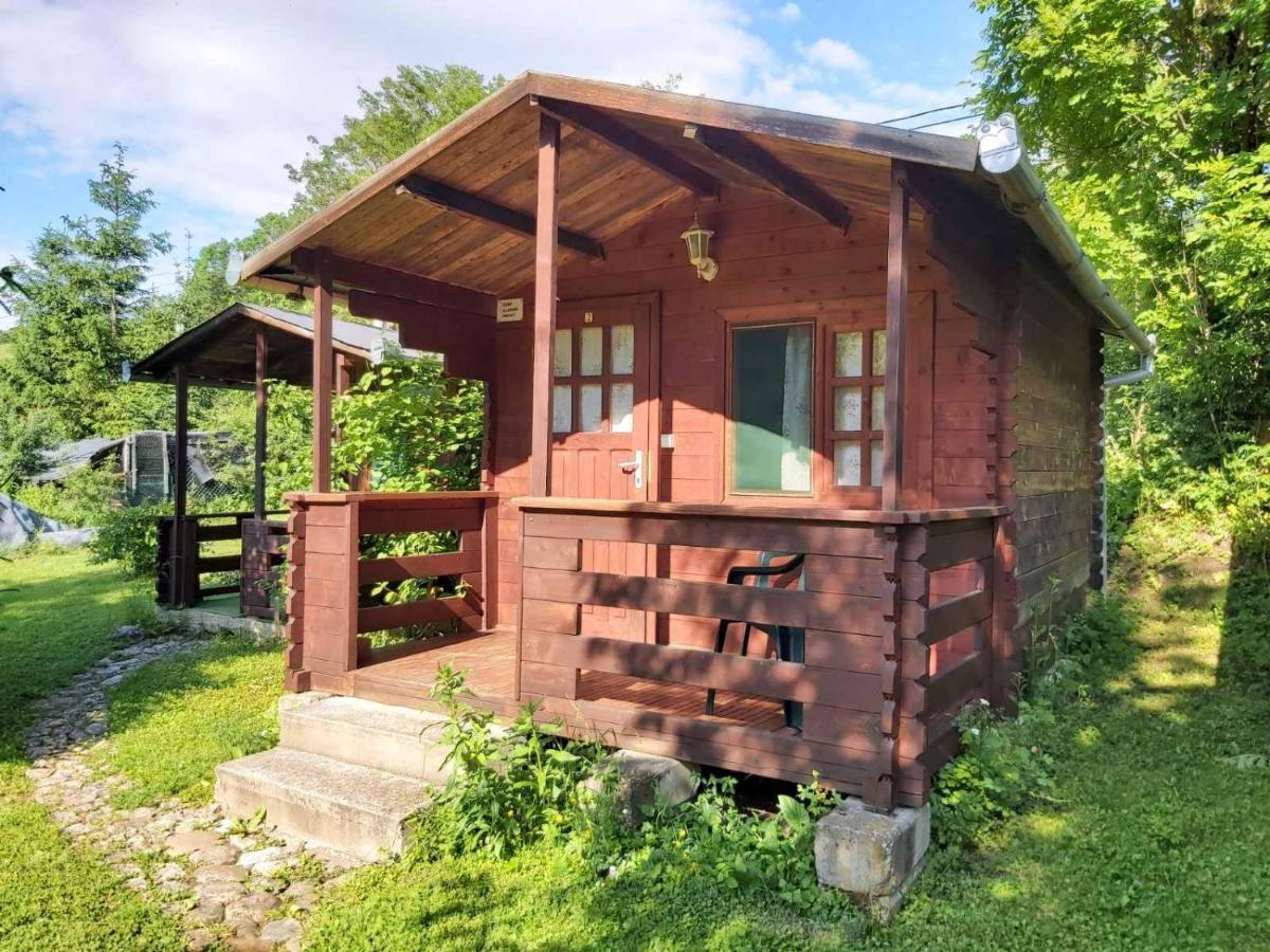 Bungalow Camping Edelweiss - Floare De Colt - Gyopar Rimetea Extérieur photo