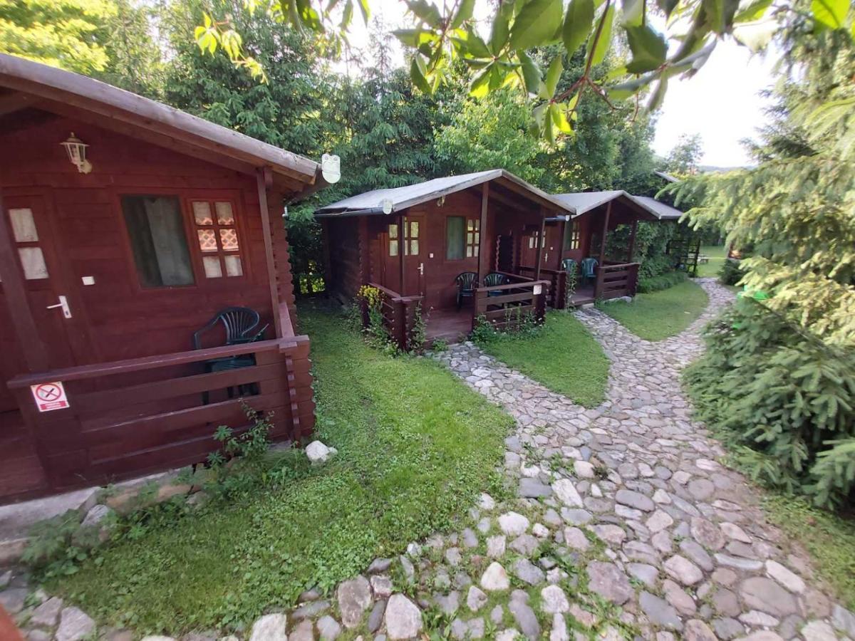 Bungalow Camping Edelweiss - Floare De Colt - Gyopar Rimetea Extérieur photo