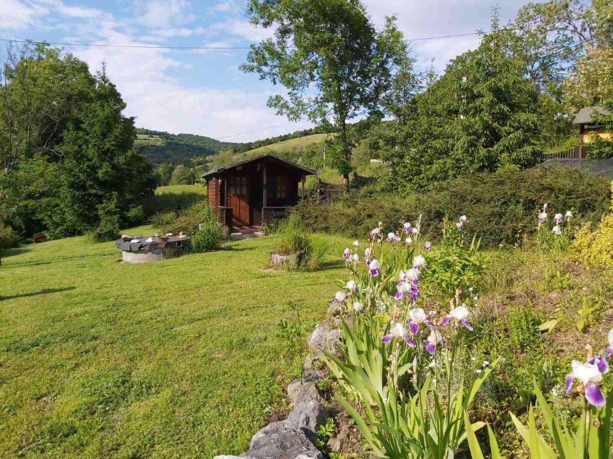 Bungalow Camping Edelweiss - Floare De Colt - Gyopar Rimetea Extérieur photo