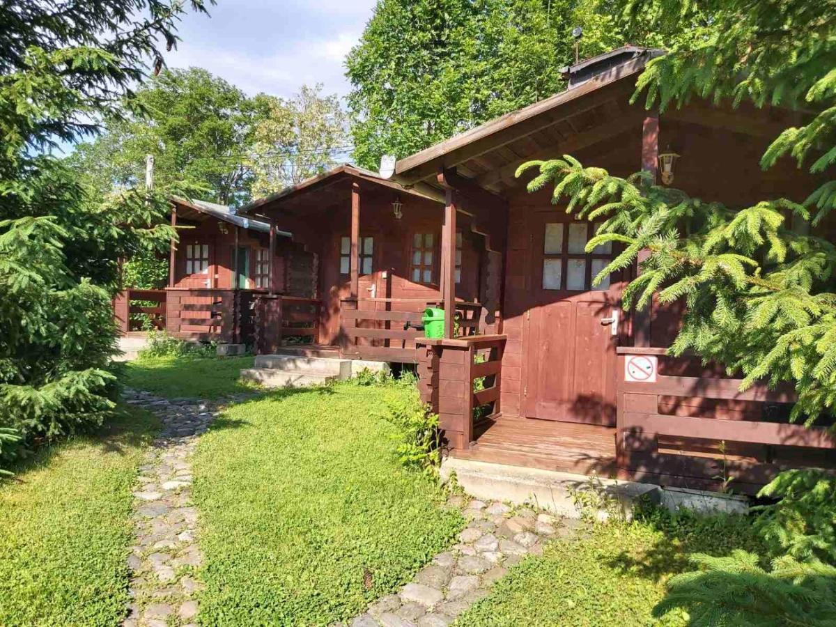 Bungalow Camping Edelweiss - Floare De Colt - Gyopar Rimetea Extérieur photo